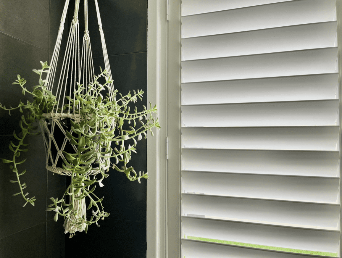 plantation shutters plantation shutters